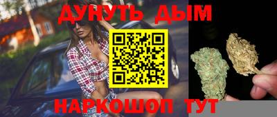 прущие грибы Заводоуковск