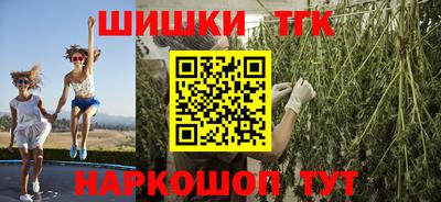 прущие грибы Заводоуковск