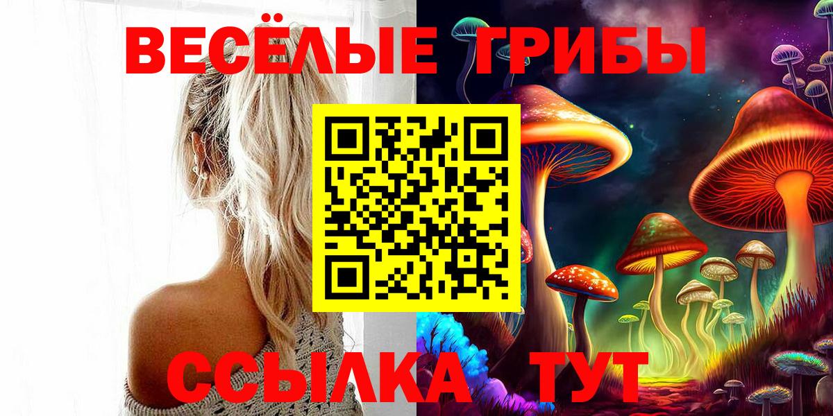 Галлюциногенные грибы мухоморы Междуреченск