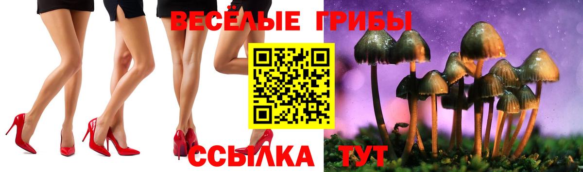 Междуреченск  Галлюциногенные грибы мухоморы  Вход с VPN 